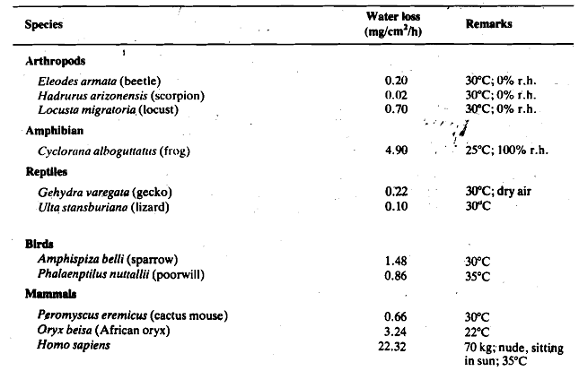 2177_Water movement through the integument.png